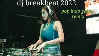 dj breakbeat 2022 pop indo galau remix