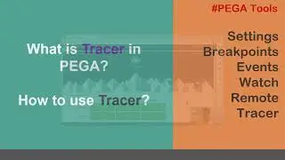 77. Информация о Трейсере - PEGA