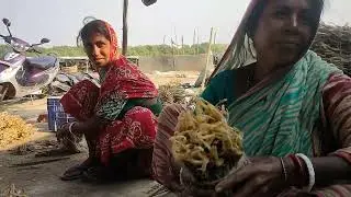 Dry Fish packing Purbo Mednapur WB #travel #volg #food 