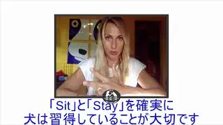 Preliminary requirements Do as I Doトレーニングを始める前の必要条件