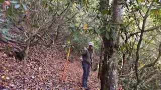 Episode 11 Brasstown Bald Georgia