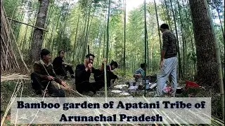 Ziro EP-01 | A day in the life of Apatani tribe of Arunachal Pradesh, India | Bamboo Gardens of Ziro