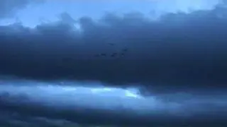 Waterfowl Hunt 2010 LimitOut