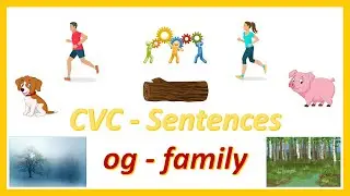 Phonics : CVC Sentences - og Family - 10 Sentences in 3 Minutes