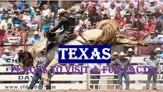 Discover Texas Fun Facts, Hidden Gems, and Amazing Wonders!