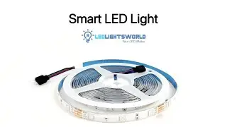 10M RGB Color Changing LED Strip Light with WiFi App & Voice Control &ndash; Lighting Demo