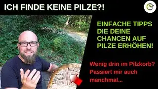 Ich finde einfach keine Pilze oder nur sehr wenige Pilzarten? Kurze Tipps f&uuml;r mehr Sammlererfolg!