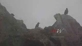LUMKA - PVUTI - LOTHA SONG