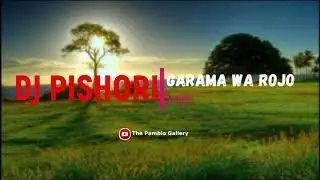 Dj Pishori - R.I.P Garama Wa Rojo Audio (Extended Beat)