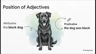 Adjectives Full Lesson | Types of Adjectives | Grammar Basics