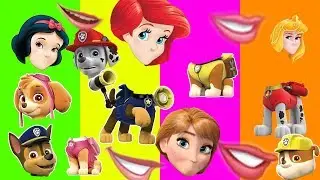 Wrong Head Mouth Paw Patrol - Finger Family Song Colors for Kids