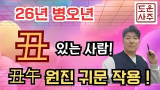 26년 운세_내 사주에 丑 이 있으면_ 축오 원진귀문 탕화까지