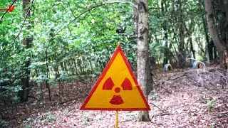 What&rsquo;s Causing Elevated Radiation Levels on Russia&rsquo;s Border with Norway?