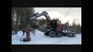 2019 TIMBERPRO TF830D For Sale
