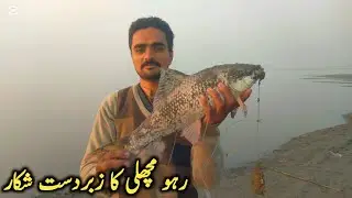 River Chanab ka zabardast shikar| Rohu machli ka zabardast shikar #fish #fishing 