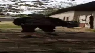 the last wide куджук
