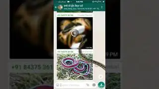Es polis wale ko riswat lens ka tarika dekho kaishe riswat leraha h(29)