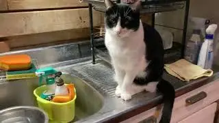 みんな元気、明日戻るよ