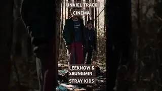 This is our Cinema, let me be your cinema. #kpop #skz #unvieltrack #cinema #leeknow #Seungmin