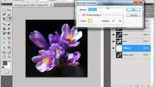 Учебное пособие по Photoshop CS5. Плашечные цвета. Урок обучения Adobe 13.3.