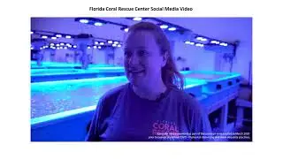 Jim Kinsler   Saving the Florida Reef Track