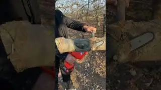 Powerful Mini Chainsaw Cutting Thick Tree Branches | Easy Tree Pruning Tool Demo#viral#youtubeshorts