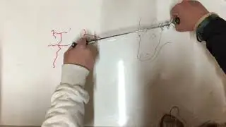 午年