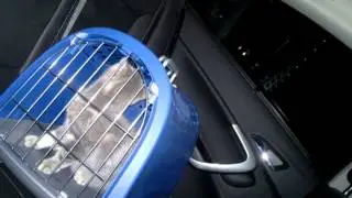 Djessika Cat Part 3[Чего не любит Джесика?]