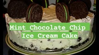 Mint Chocolate Chip Ice Cream Cake!