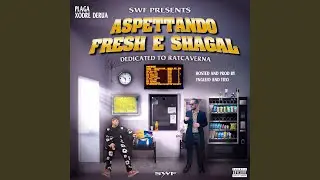 Casin&ograve;