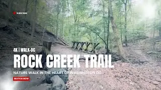 Rock Creek Trail in The Heart of Washington, DC | Rainy Fall Afternoon Nature Walk in 4K