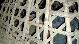 Rural life vlog ( night time) North-East India