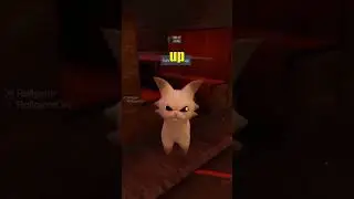 EEAAOO CATT VRchat