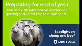 Preparation for End of Financial Year - Spotlight on Sheep & Beef