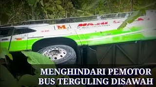 Terguling Disawah Bus Maju Lancar Menghindari Pemotor & Seri i Laka vs truk