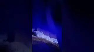 Pov:prendes tu celu de madrugada