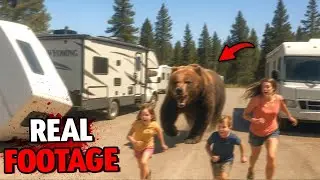Grizzly Bear Attacks RV Park in Wyoming on August 12th, 2025