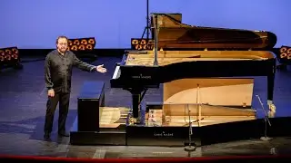 The Chris Maene Concert Pedal Piano