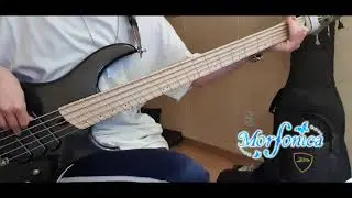[BanG Dream! 뱅드림!] Daylight - Morfonica (bass cover)