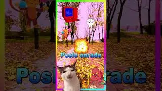 Čas obrade videa 🎬