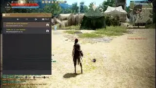 Black Desert_ The Awakening
