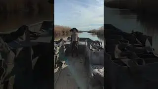 Boykin spaniel loves boat rides to duck blind #boykinspaniel #duckhunting #jonboat #nc