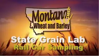 Rail Car Sampling   Montana State Grain Lab