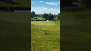 It&rsquo;s more than just GOLF