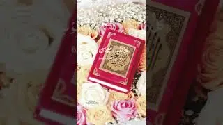 QURAN PAK | REACTION | URDU |TRANSLATION | Alihyder #shortsfeed #islamicstatus #quranpak #virlshort