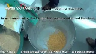 6NF 90  multifunctional maize peeling machine M&aacute;quina peladora de ma&iacute;z