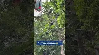 Học vi&ecirc;n c&oacute; gửi xe th&igrave; nhớ nhờ nh&acirc;n vi&ecirc;n n&eacute; n&eacute; c&acirc;y sa k&ecirc; ra nh&eacute; 😭 | DẠY L&Aacute;I XE B&Igrave;NH T&Acirc;N