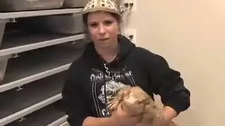 SnakeBytesTV-Halloween, not for the faint of heart!