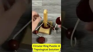 Solve the Circular Ring Puzzle -Topological Approach #CircularRingPuzzle #PuzzleSolving #BrainTeaser
