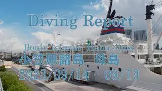 【小笠原諸島 母島】Diving Report Haha-jima【ダイビング】